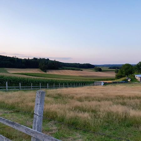 Bett'N Glueck - Uebernachtung & Fruehstueck Bed and Breakfast Zusmarshausen Eksteriør billede